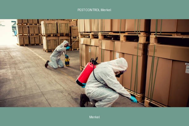 PEST CONTROL Merkel
